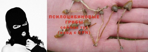 бутират Ельня