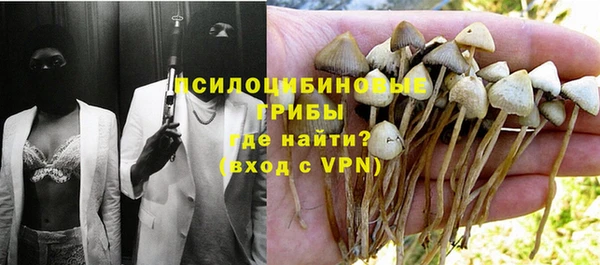каннабис Дмитриев