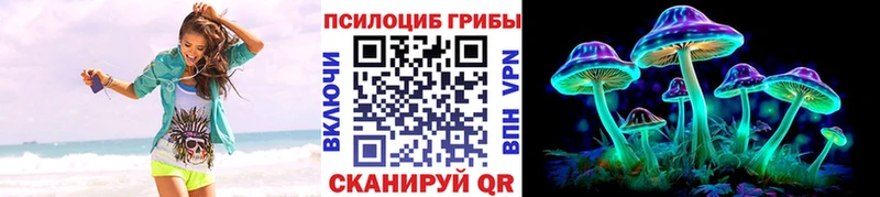 Купить закладки  Бородино  Псилоцибиновые грибы ЛСД 